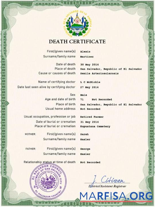 Realistic Salvador vital record death certificate PSD template